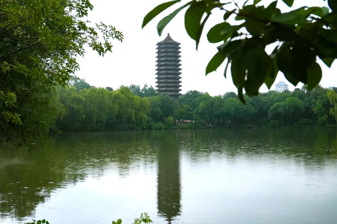 williamhill英国威廉希尔学者 | 张辉：“人工智能+”赋能现代化产业体系